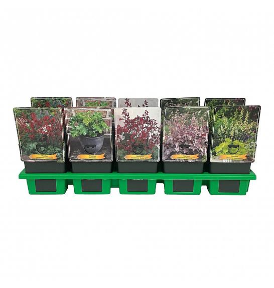 Heuchera mix Ø11