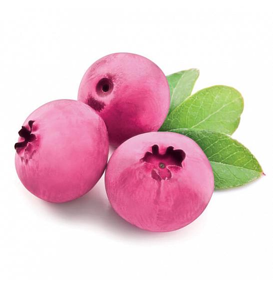 Vaccinium corymbosum Pink Lemonade C2 Lit. 20 cm