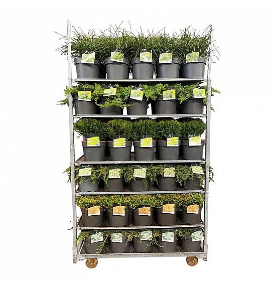 Iglavci Mix 1 CC VOZIČEK