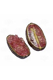 Citrus australasica Caviale Ø 22  Na steblu 40 cm