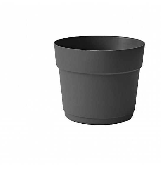 Lonec BLOOM  Ø19 H16 ; ASH ; Flora