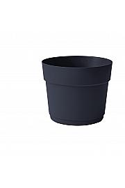 Lonec BLOOM  Ø24 H20 ; OVERSEA ; Flora