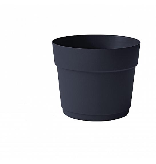 Lonec BLOOM  Ø24 H20 ; OVERSEA ; Flora