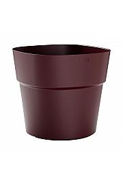 Lonec ANDROMEDA  Ø48 H43 ; BOURGOGNE ; Astra