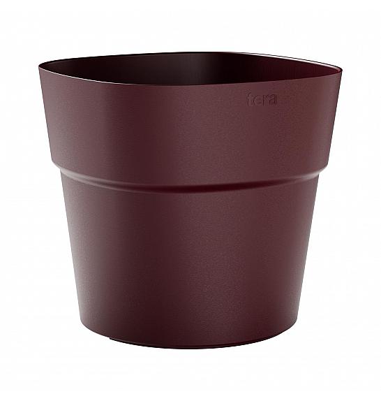 Lonec ANDROMEDA  Ø58 H47 ; BOURGOGNE ; Astra