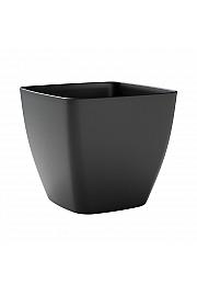 Lonec CEYLON  Ø40 H36 ; ASH ; Insula