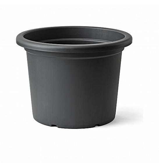 Lonec MENFI  Ø72 H51 ; R ASH ; Aura