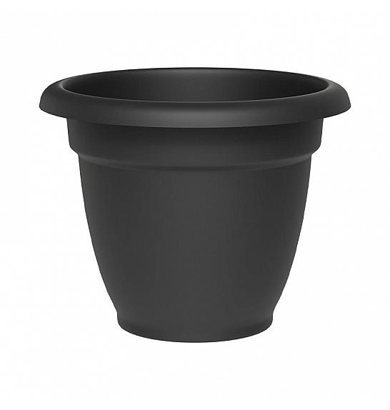 Lonec PETRA  Ø29 H24 ; ASH ; Aura