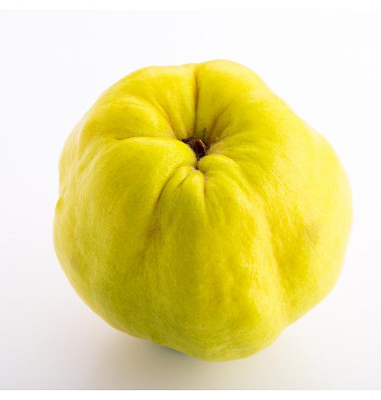 Cydonia oblonga Leskovačka C5 Lit. 60-80 cm