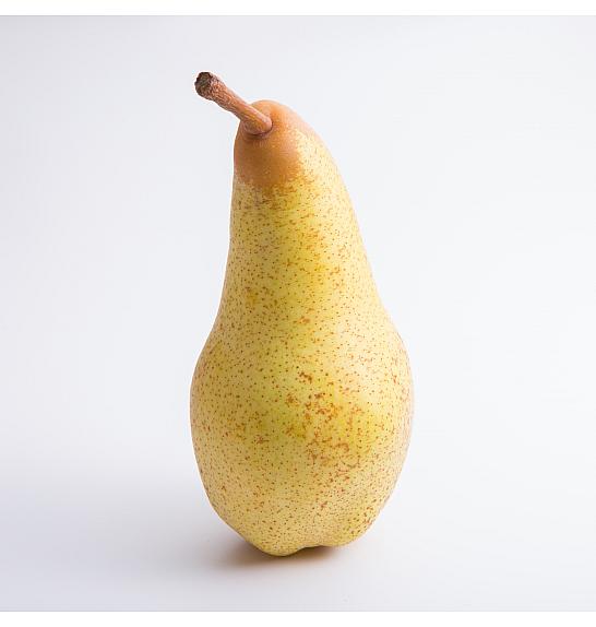 Pyrus communis Gellert's Butterbirne C10 Lit. 125-150 cm