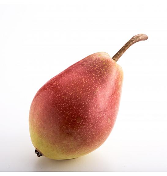 Pyrus communis Gute Luise C10 Lit. 125-150 cm