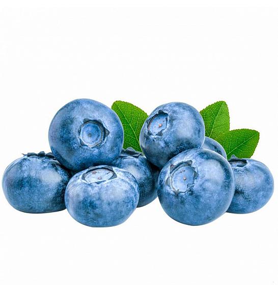 Vaccinium corymbosum Blue Sapphire C3 Lit. 25-35 cm