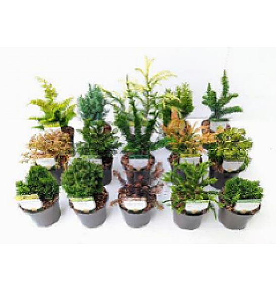 Iglavci Essentials Mix Ø 10,5; 1 CC VOZIČEK = 360 KOS