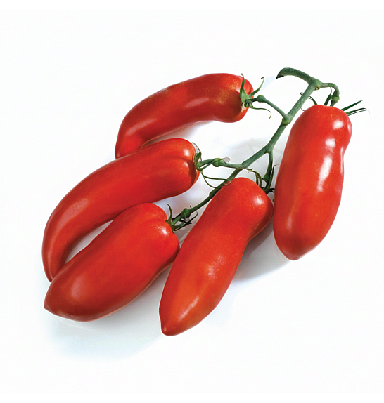 Paradižnik CE Bellandine F1 Ø13