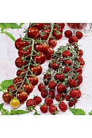 Paradižnik Tutti Frutti Deep Red Desire F1 Ø 10,5