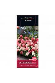 Hydrangea p. Groundbreaker®Mix C1,5 Lit.