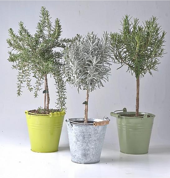 Dišavnice Ø14 mix Na steblu barvni kovinski lonček