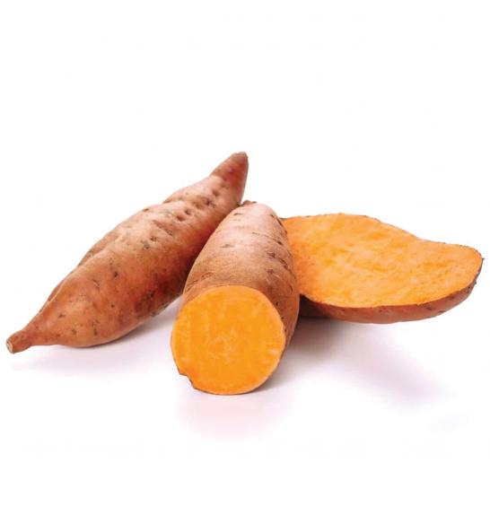 Sladki krompir Ipomoea batatas Beauregard Ø10,5