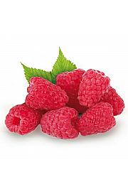 Rubus idaeus Tulameen C2 Lit. 30-40 cm