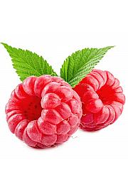 Rubus idaeus Schoenemann C2 Lit. 30-40 cm