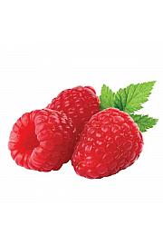 Rubus idaeus Mailling Promise C2 Lit. 30-40 cm