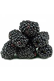Rubus fruticosus Black Satin C2 Lit. 30-40 cm