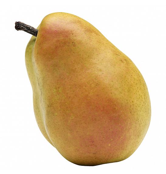 Pyrus communis Obelisk ® C5 Lit. 100-125 cm Stebričasta