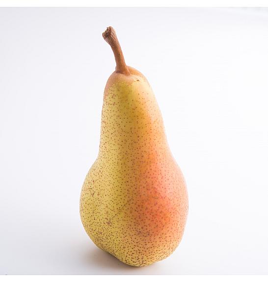 Pyrus communis Nordhäuser Winterforelle C5 Lit. 60-80 cm Stebričasta