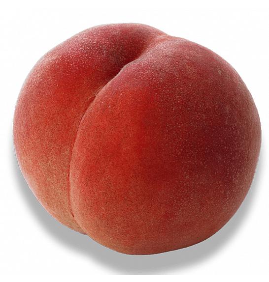 Prunus persica Fruteria C5 Lit. 100-125 cm