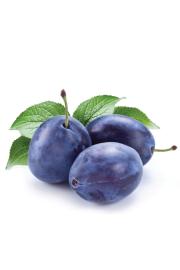 Prunus domestica Imperial C5 Lit. 80-100 cm