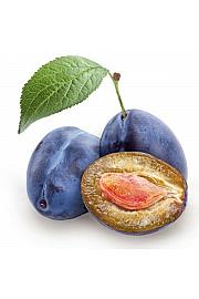 Prunus domestica Hauszwetsche C7,5 Lit. 125-150 cm