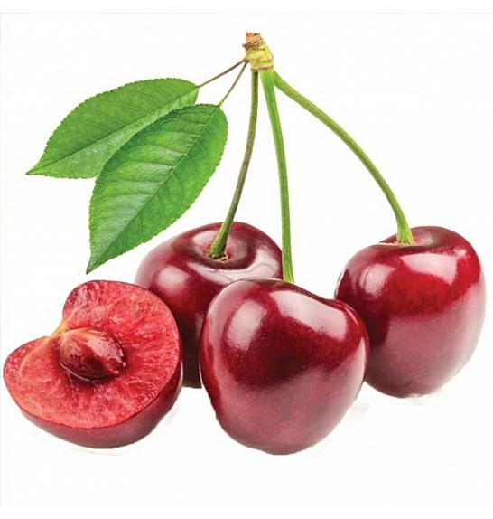 Prunus avium Sylvia C7,5 Lit. 125-150 cm Stebričasta