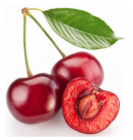 Prunus avium Sylvia C5 Lit. 100-125 cm Stebričasta