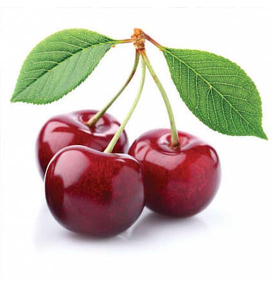 Prunus avium Kordia C5 Lit. 80-100 cm Patio