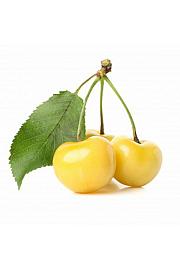 Prunus avium Dönissens Gelbe C5 Lit. 80-100 cm Patio