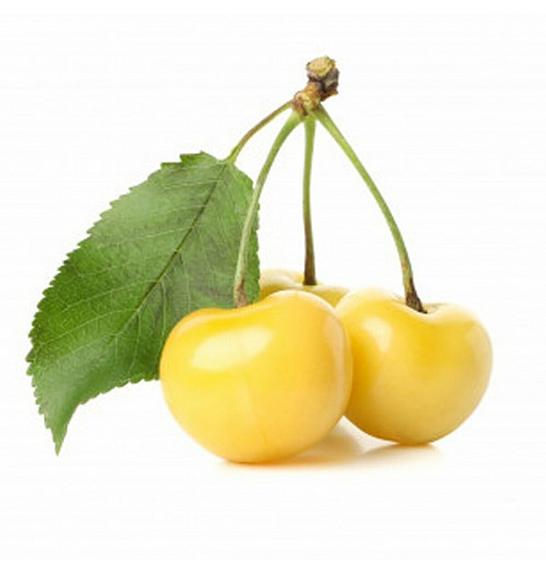Prunus avium Dönissens Gelbe C5 Lit. 80-100 cm Patio