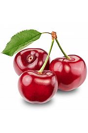 Prunus avium Carmen C9,5 Lit. 150-175 cm