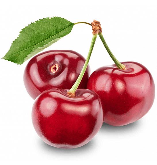 Prunus avium Carmen C9,5 Lit. 150-175 cm
