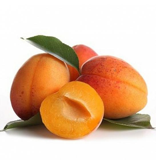 Prunus armeniaca Ungarische Beste C9,5 Lit. 150-175 cm