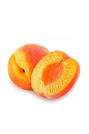 Prunus armeniaca Ungarische Beste C5 Lit. 80-100 cm Patio