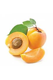 Prunus armeniaca Goldrich C9,5 Lit. 150-175 cm