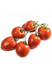 Paradižnik CE Fleurette F1 Ø13