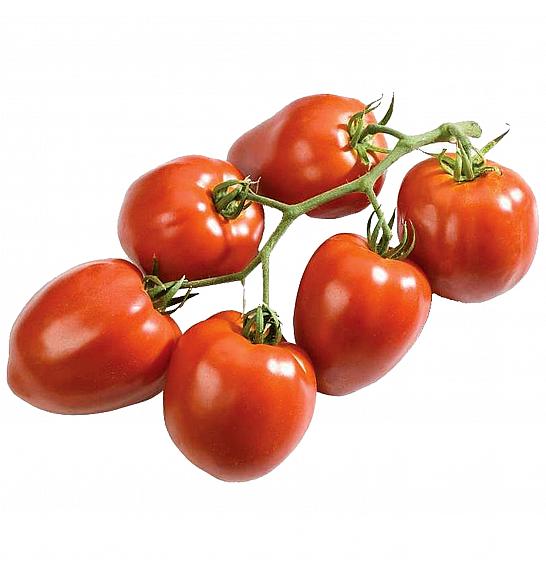 Paradižnik CE Fleurette F1 Ø13