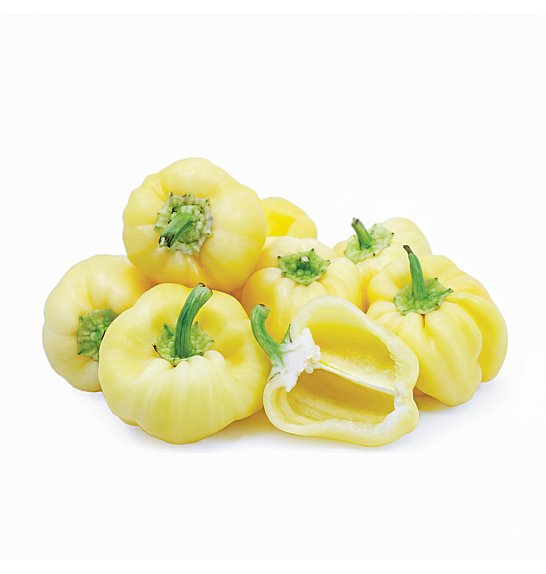 Paprika Snow White Ø10,5