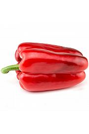 Paprika CE Lamuyo F1 Ø13