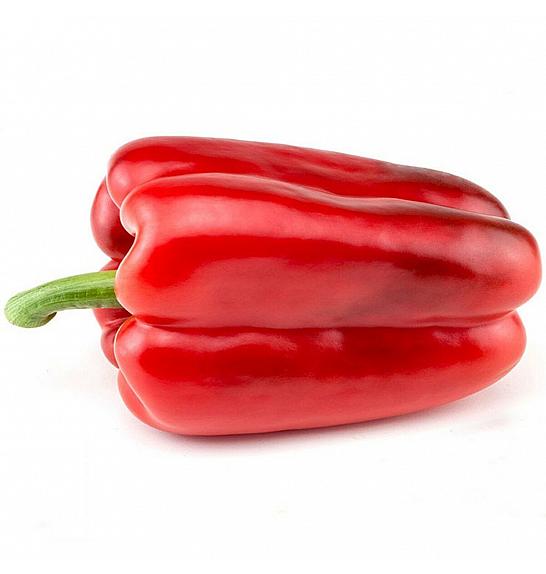 Paprika CE Lamuyo F1 Ø13