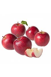 Malus domestica Summerred C7,5 Lit. 125-150 cm