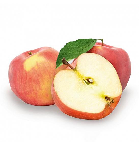 Malus domestica Jonagold C7,5 Lit. 125-150 cm