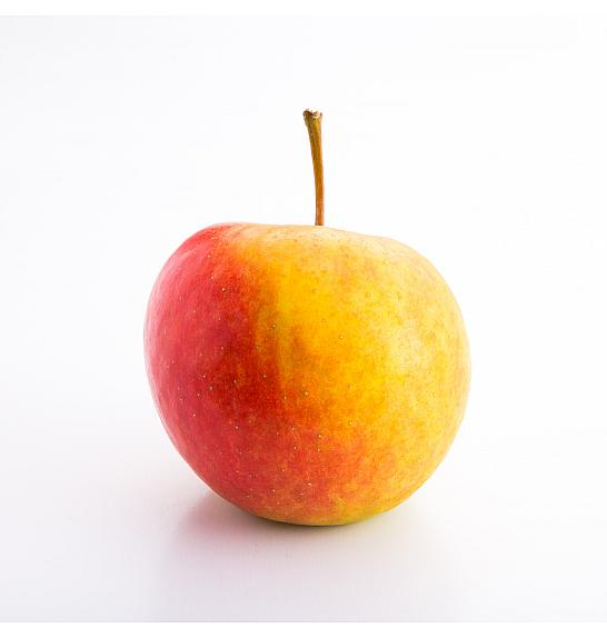 Malus domestica Elstar C5 Lit. 80-100 cm