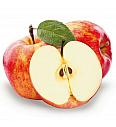 Malus domestica Coxs Orange Pippin C5 Lit. 80-100 cm Patio
